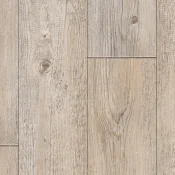 Foxtail Pine W92