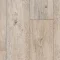 Foxtail Pine W92