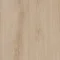 Sundance Oak 543