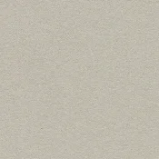 Forbo Bulletin Board 2206 oyster shell