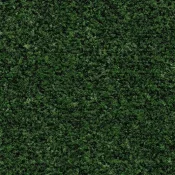 Mata wejściowa Forbo Coral Brush 5708