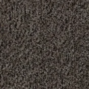 Mata wejściowa Forbo Coral Brush 5714