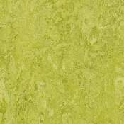 Wykładzina linoleum Forbo Marmoleum Decibel 322435 chartreuse
