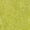 322435 chartreuse