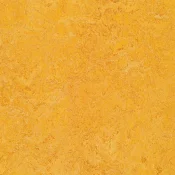 Wykładzina linoleum Forbo Marmoleum Decibel 322535 dandelion