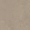325235 sparrow