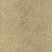 Panele winylowe LVT AW MAXIMUS Cashmere Oak Beach