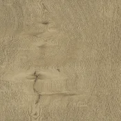 Panele winylowe LVT AW MAXIMUS Castle Oak Deer