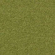 Płytki dywanowe AW Maxima Tile 21
