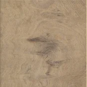 Panele winylowe LVT AW MAXIMUS Silk Oak Oat
