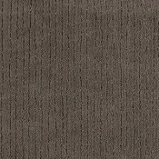 Wykładzina dywanowa w rolce SmartStrand Loft Life Pure 080