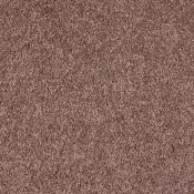 Wykładzina dywanowa w rolce - SmartStrand Gentle 220
