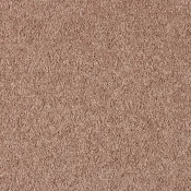 Wykładzina dywanowa w rolce - SmartStrand Gentle 270