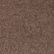 Wykładzina dywanowa w rolce - SmartStrand Gentle 470
