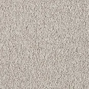 Wykładzina dywanowa w rolce - SmartStrand Soft 250