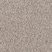 Wykładzina dywanowa w rolce - SmartStrand Soft 260