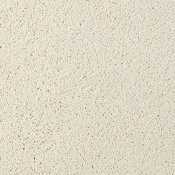 Wykładzina dywanowa w rolce Desso Asteranne 1002