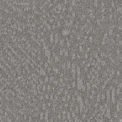 Płytki dywanowe Desso Evolve 1101