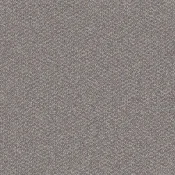 Płytki dywanowe Desso Emerge 1109