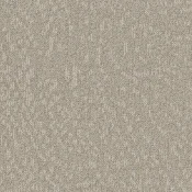 Płytki dywanowe Desso Evolve 1272