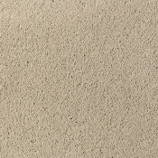 Wykładzina dywanowa w rolce Desso Asteranne 1320