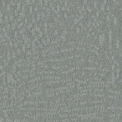 Płytki dywanowe Desso Evolve 1651