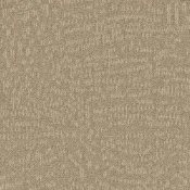 Płytki dywanowe Desso Evolve 1805