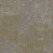 2003-V