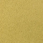 Wykładzina dywanowa w rolce Desso Asteranne 2005