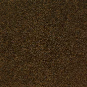 2051