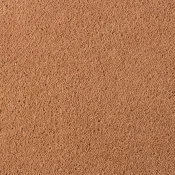 Wykładzina dywanowa w rolce Desso Asteranne 2055