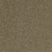 2929