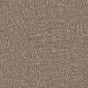 Płytki dywanowe Desso Evolve 2937