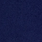 3841