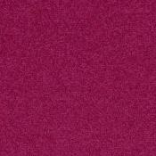 4107