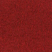4202