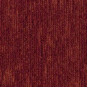 4211