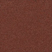 5031