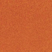 5206
