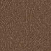 Płytki dywanowe Desso Evolve 5211