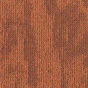 Płytki Dywanowe Desso AirMaster Desert 5227