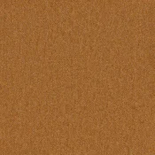 Płytki dywanowe Desso Essence Pure 5411