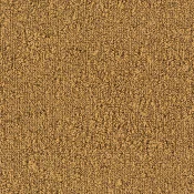 6011