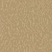 Płytki dywanowe Desso Evolve 6034