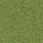 7065