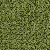 7072