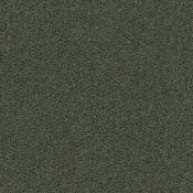 Płytki dywanowe Desso Emerge 7851