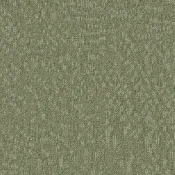 Płytki dywanowe Desso Evolve 7855