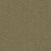 Płytki dywanowe Desso Emerge 7863