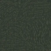 Płytki dywanowe Desso Evolve 7941